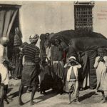 Djibouti - Scene d un Mariage Somalis