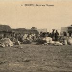 Djibouti - Marche aux Chameaux
