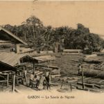 La Scierie de Ngomo - Gabon