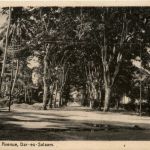 Dar-es-Salaam - Park Avenue