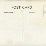 Dar es Salaam - Acacia Avenue