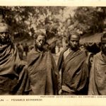 Cameroun - Femmes Bororos