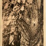 Cameroun - Pont de lianes