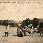 Soudan - Les aniers de Tombouctou