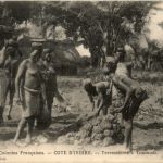 Cote d Ivoire - Terrassieres a Toumodi