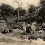 Madagascar - A la Fontaine