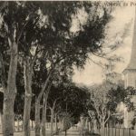 Suez . Avenue de Port Tewfik