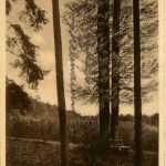 Schlüsselfeld, Drei Eichen