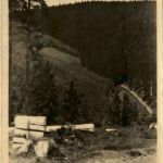 Partie am Blessberg, Steinheid/Thür.Wald