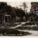 Sangerhausen, Rosarium