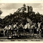 Warburg, am Eselstandplatz