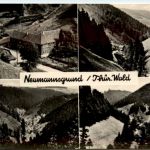 Neumannsgrund, div.Bilder