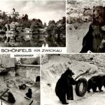 Burg Schönfels Kr. Zwickau, div. Bilder