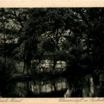 Wimmeidyll in Fischerhude