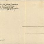 Mann`s Waldschloss Kleiner Spreewald, Teilansicht