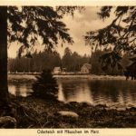 Oderteich mit Häuschen im Harz