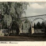Uetersen, Rosarium