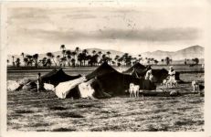Algerie - Campement de Nomades