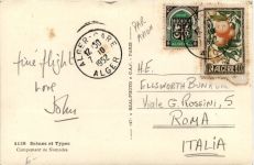 Algerie - Campement de Nomades