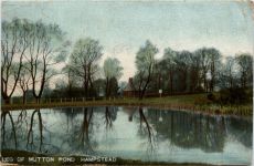 Hampstead - Leg of Mutton Pond to Penang