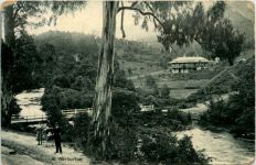 At Warburton