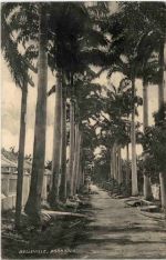 Belleville - Barbados