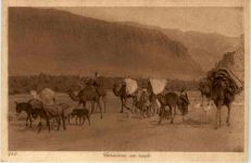 Caravane en route