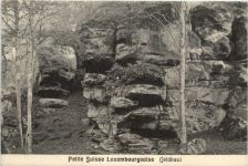 Luxemburg - Goldkaul