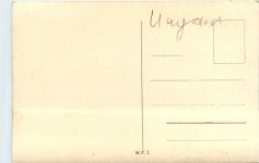 Hungary - Kühe - Cow