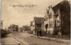 Duinbergen sur Mer - Avenue des Mouettes