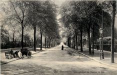 Verviers - Commancement de l Avenue de Spa