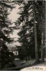Les Rasses - La Foret et le Grand Hotel