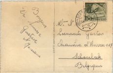 Chateau d Oex - Les chamois