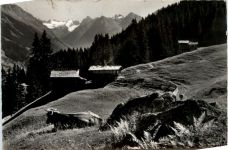 Klosters - Sommermorgen bei der Schwendi
