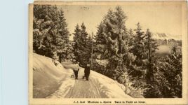 Montana sur Sierre - Dans la Foret en hiver
