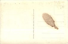 Warth egen Widderstein