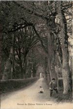 Avenue du Chateau Voltaire a Ferney