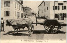 Types Baques - Un Attelage