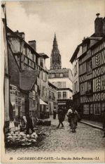 Caudebec en Caux