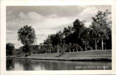 Ismailia - Public Gardens
