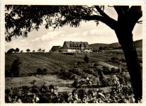 Albersweiler - Hotel Leinsweiler Hof