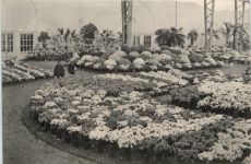 Gand - Exposition 1913