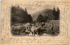 Gruss aus Lauterberg im Harz - Forsthaus Kupferhütte