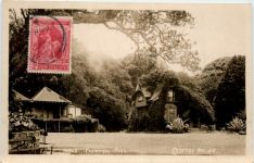 Auckland - Kiosk - New Zealand