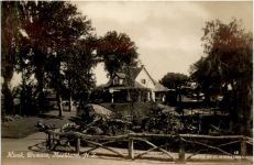 Auckland - Kiosk- New Zealand