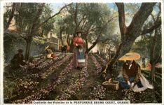 Grasse - Parfumerie Bruno Court