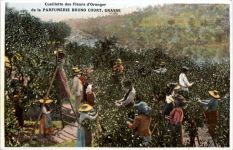 Grasse - Parfumerie Bruno Court