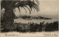 Corse - Ajaccio - Les Palmiers