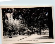 Sydney - Murray Views - Hyde Park