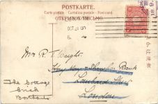 Japan - Yokohama Park - Cherry Blossom